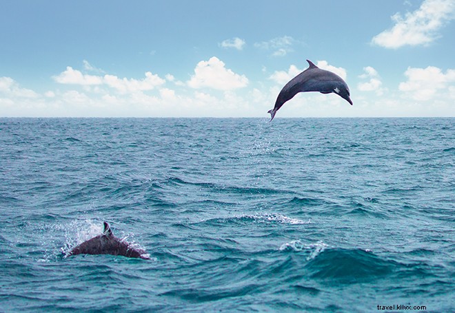 10 Exclusive Adventures You Can Only Experience in Costa Rica